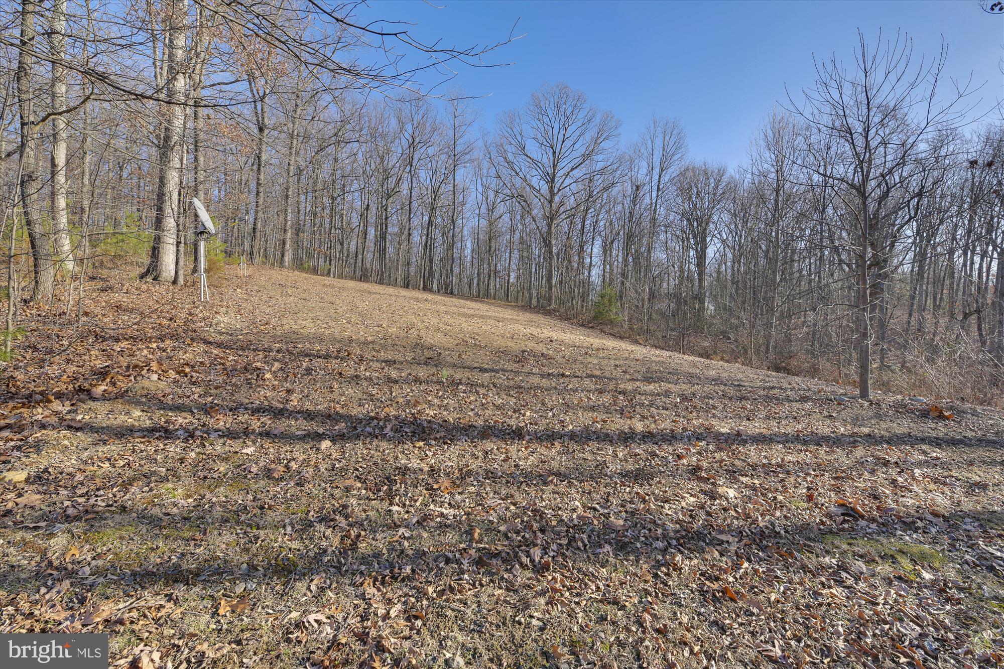 9745 Crest Hill Road Marshall, VA 20115 - Photo 56 of 56 Back yard nestled amongst the trees.