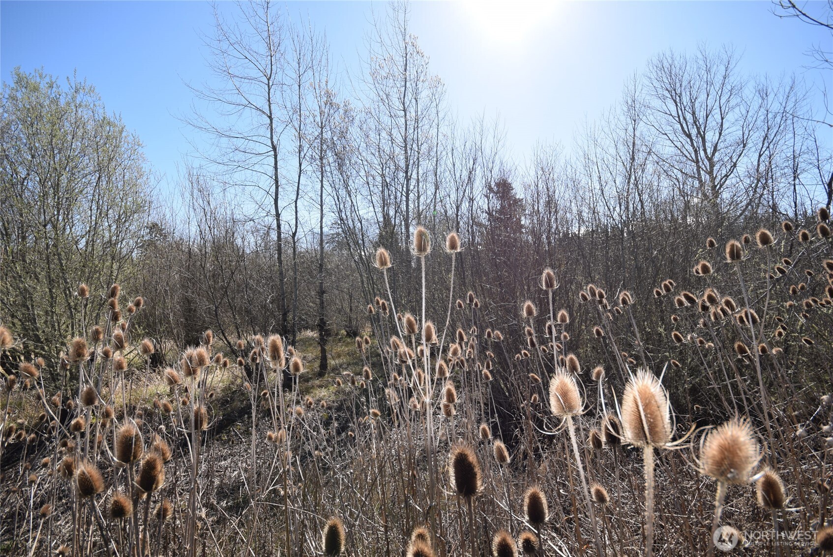 260 Secluded Way Sequim, WA 98382 - Photo 30 of 37