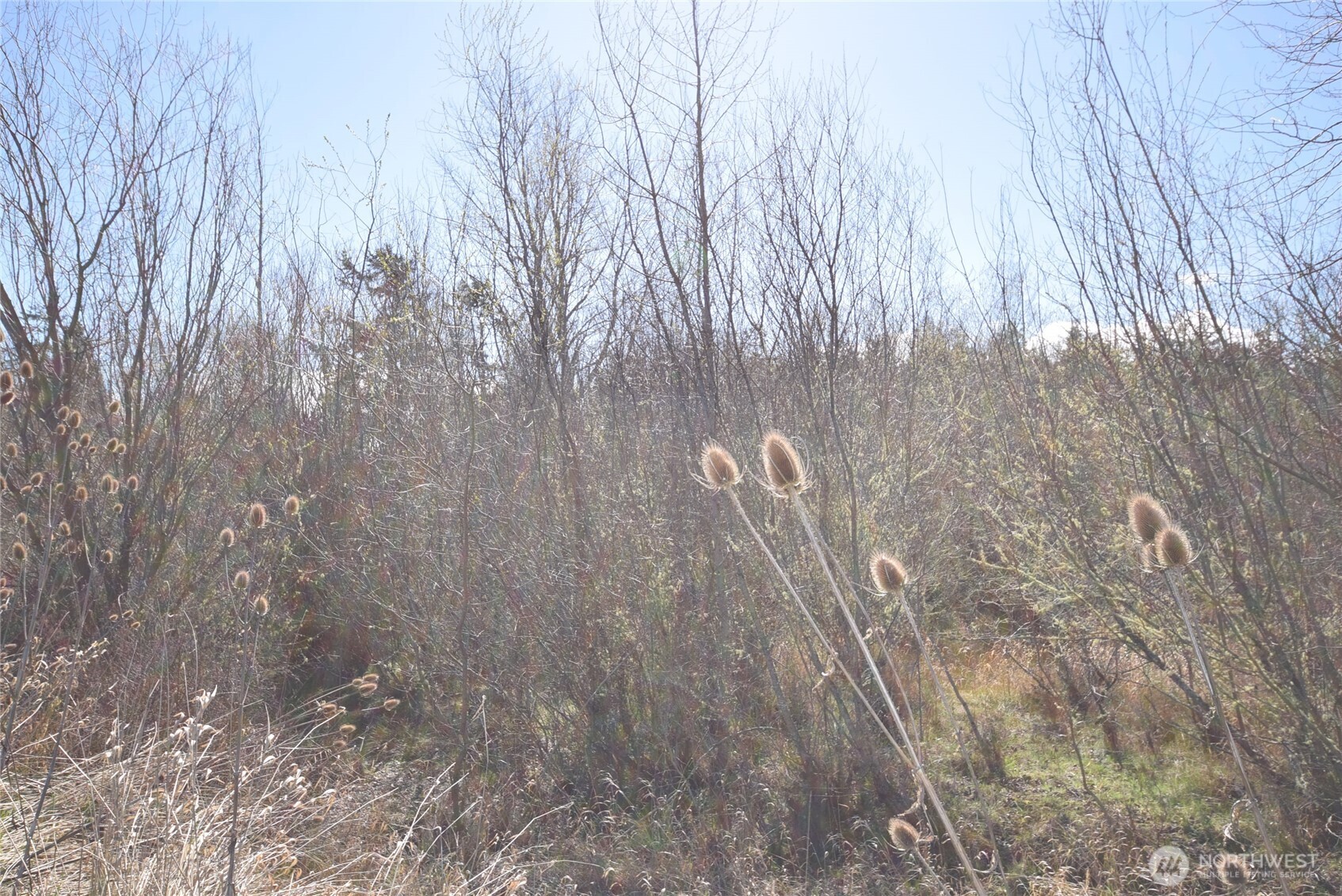 260 Secluded Way Sequim, WA 98382 - Photo 31 of 37