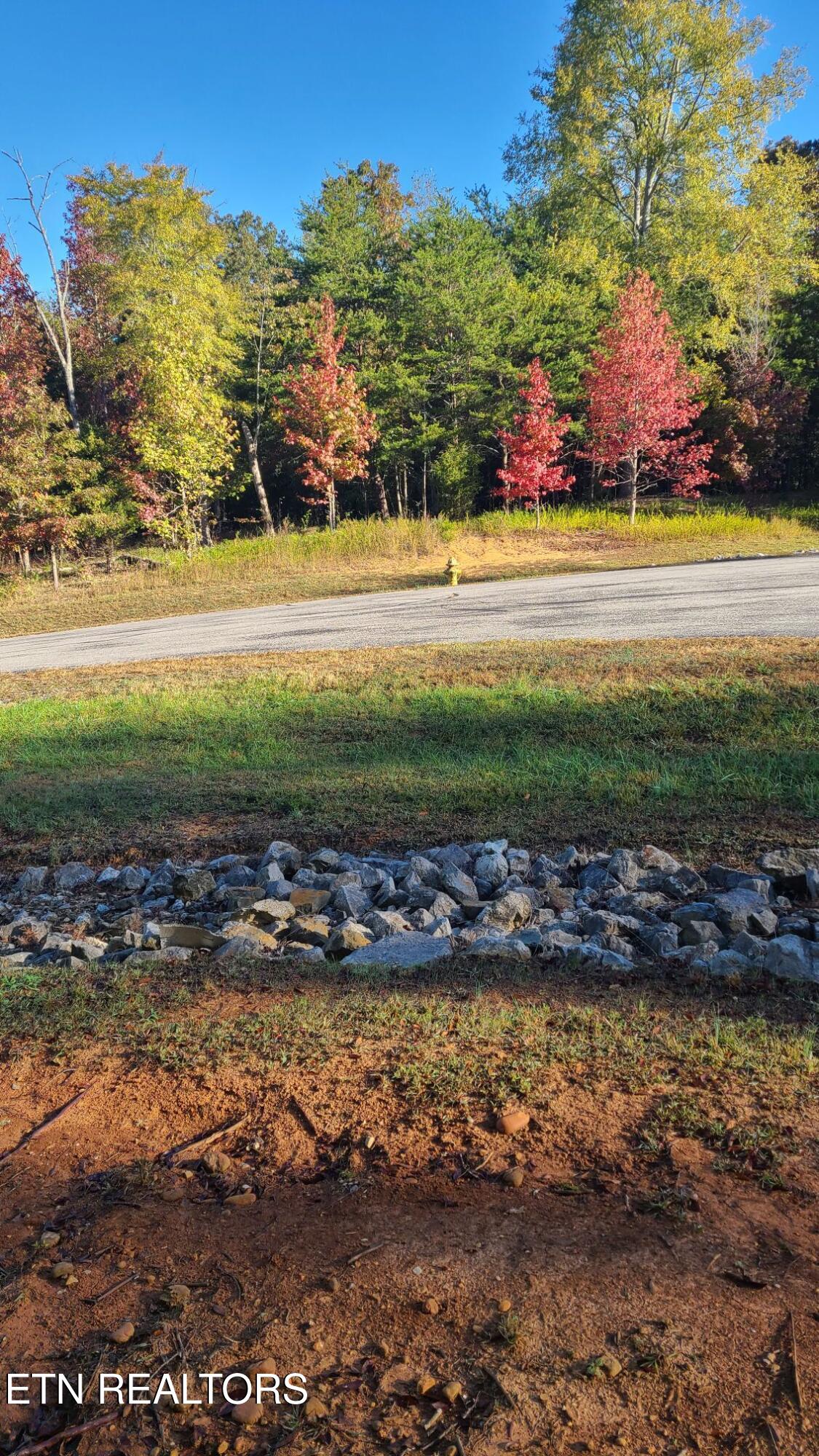1613 New Hope Road Rockwood, TN 37854 - Photo 1 of 3 Lot 65 New Hope Build Road Front