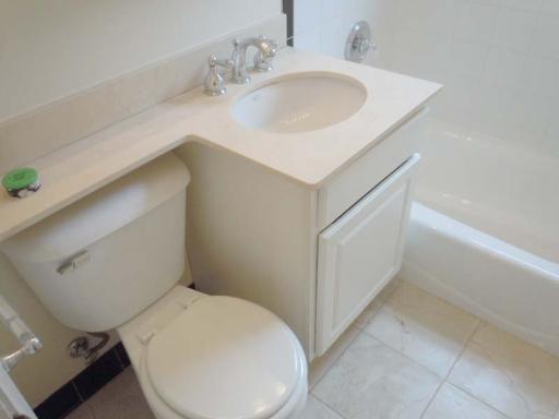 5303 North Rutherford Avenue Chicago, IL 60656 - Photo 12 of 16 a white toilet sitting next to a bathroom sink