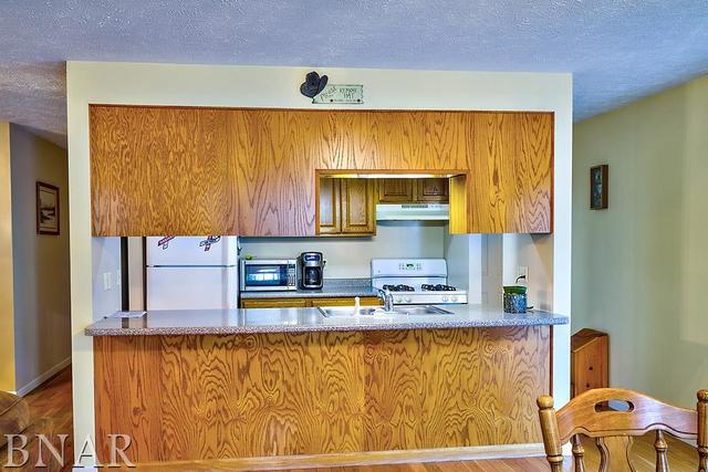 11310 Lake Road Dewitt, IL 61735 - Photo 8 of 21 a kitchen with a sink a window and cabinets