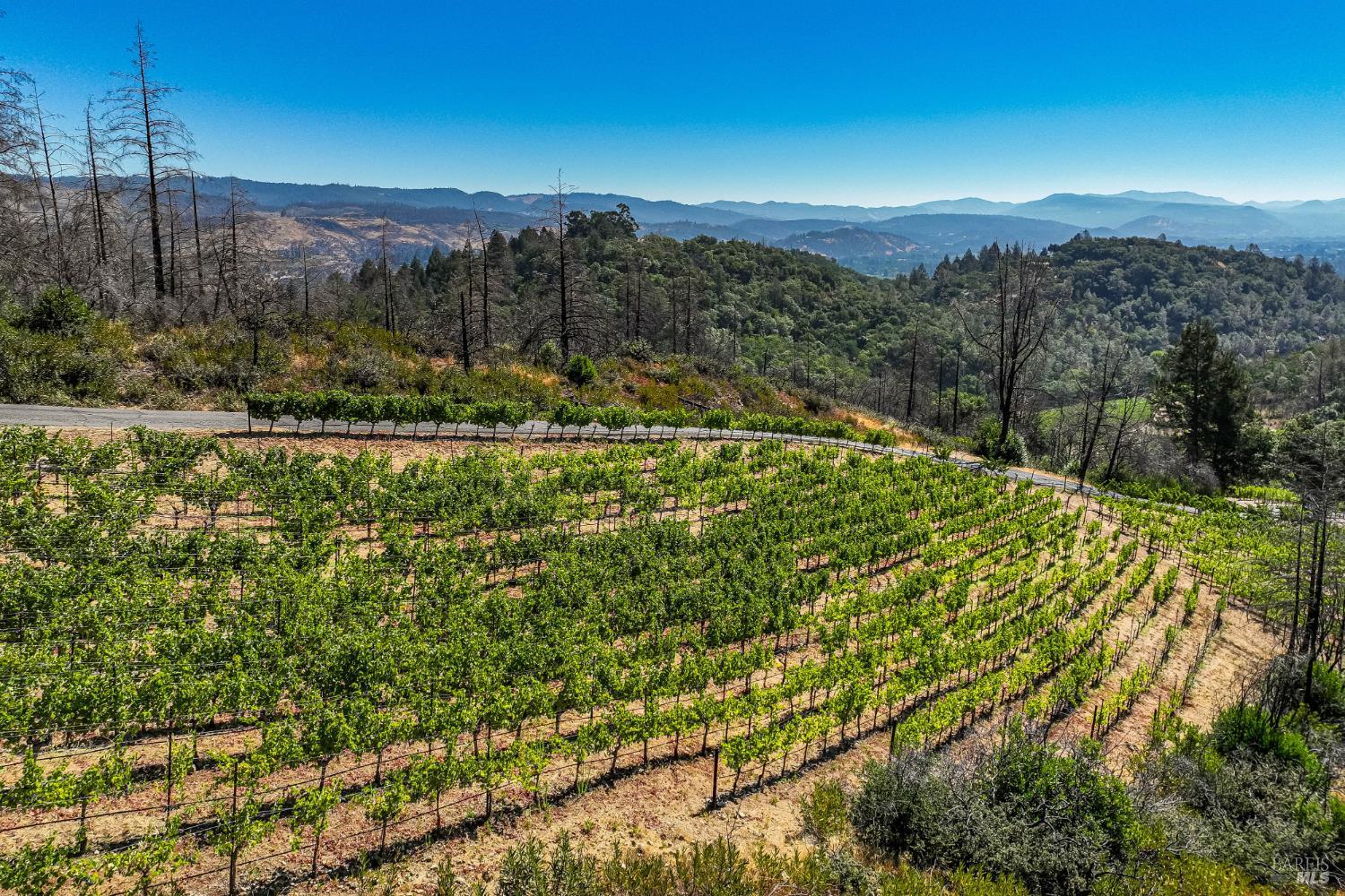 2910 Spring Mountain Road St. Helena, CA 94574 - Photo 4 of 8