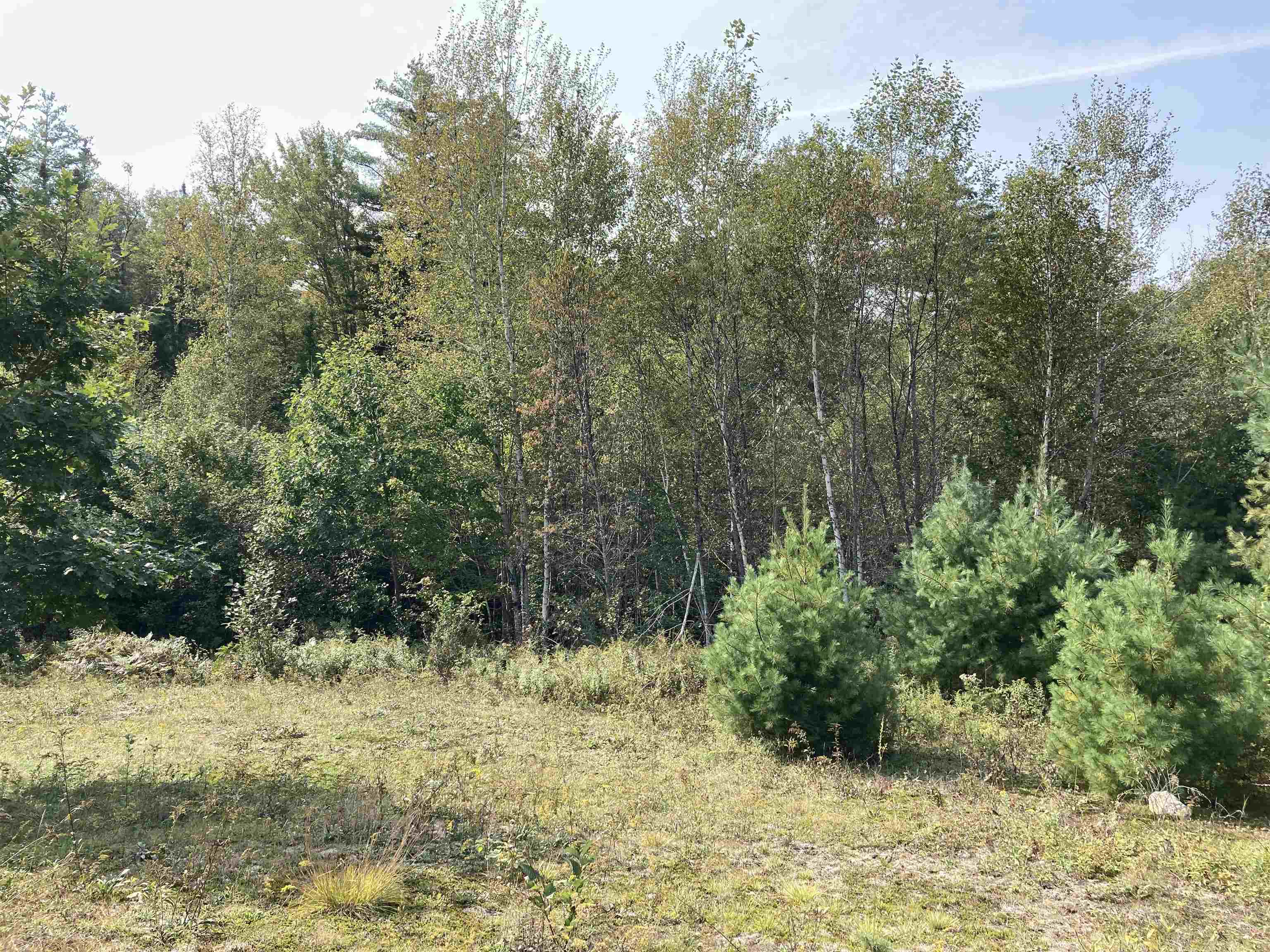 29 Wolfson Spring Drive Canaan, NH 03741 - Photo 29 of 40