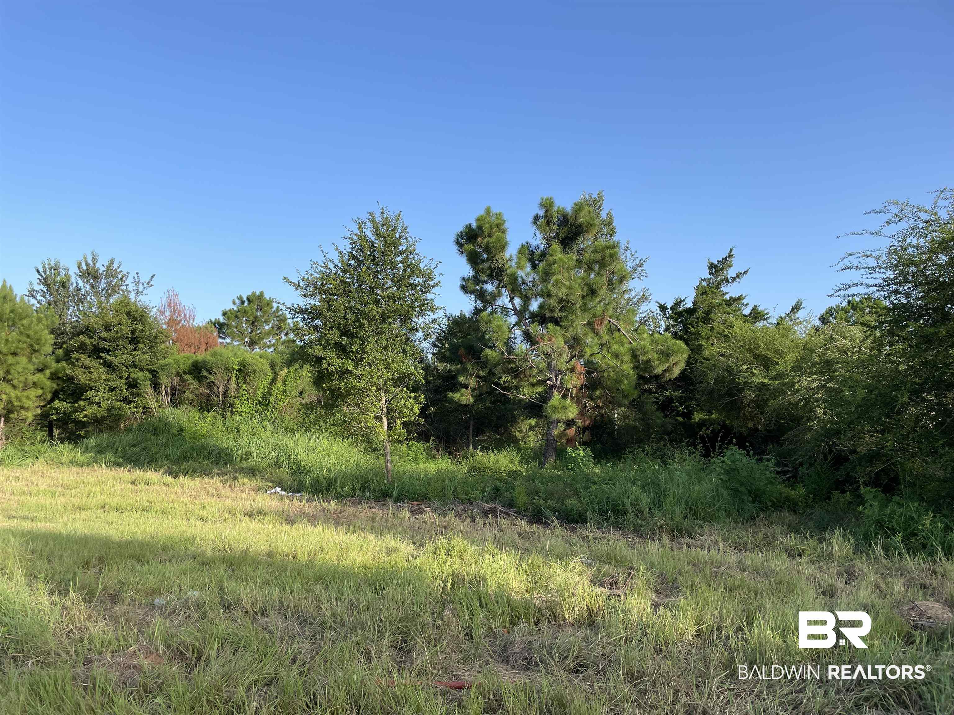 0 Makaira Drive Foley, AL 36535 - Photo 5 of 33