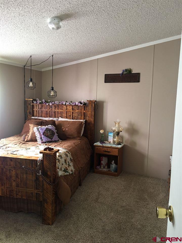7224 Peach Valley Road Delta, CO 81416 - Photo 6 of 17