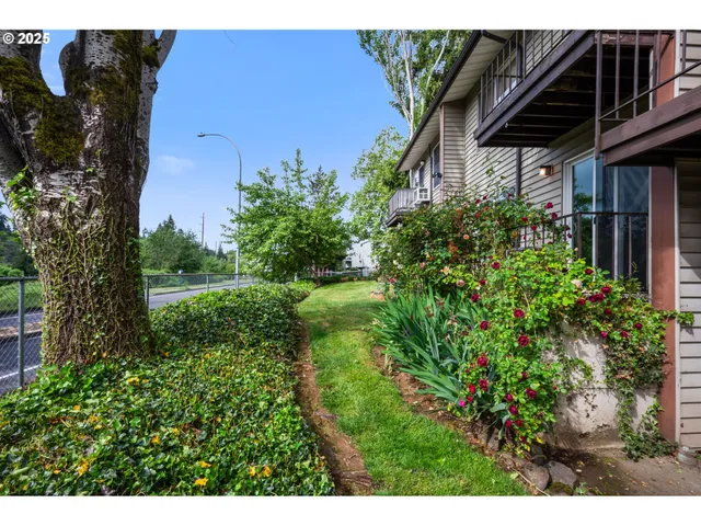 a view of a backyard