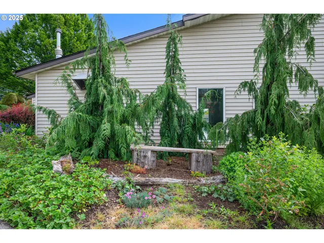 a view of a backyard with wooden fence and plants