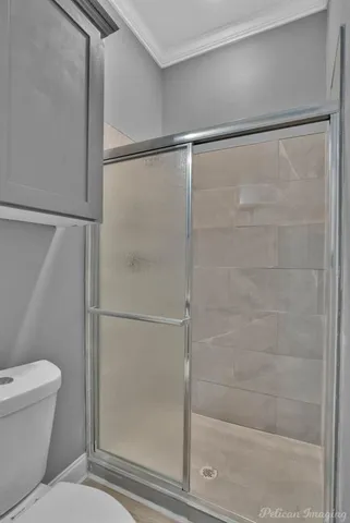 a bathroom with a shower and a toilet