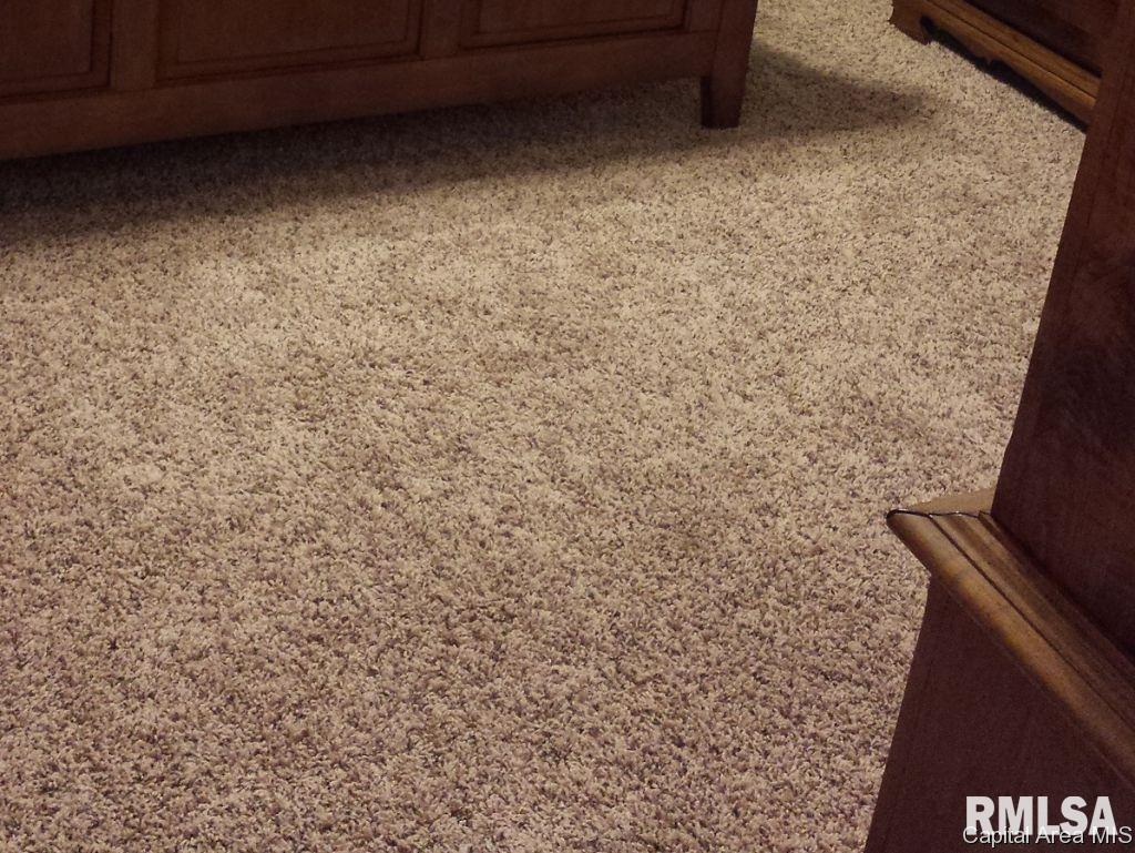 5272 Buford Street Springfield, IL 62703 - Photo 7 of 11