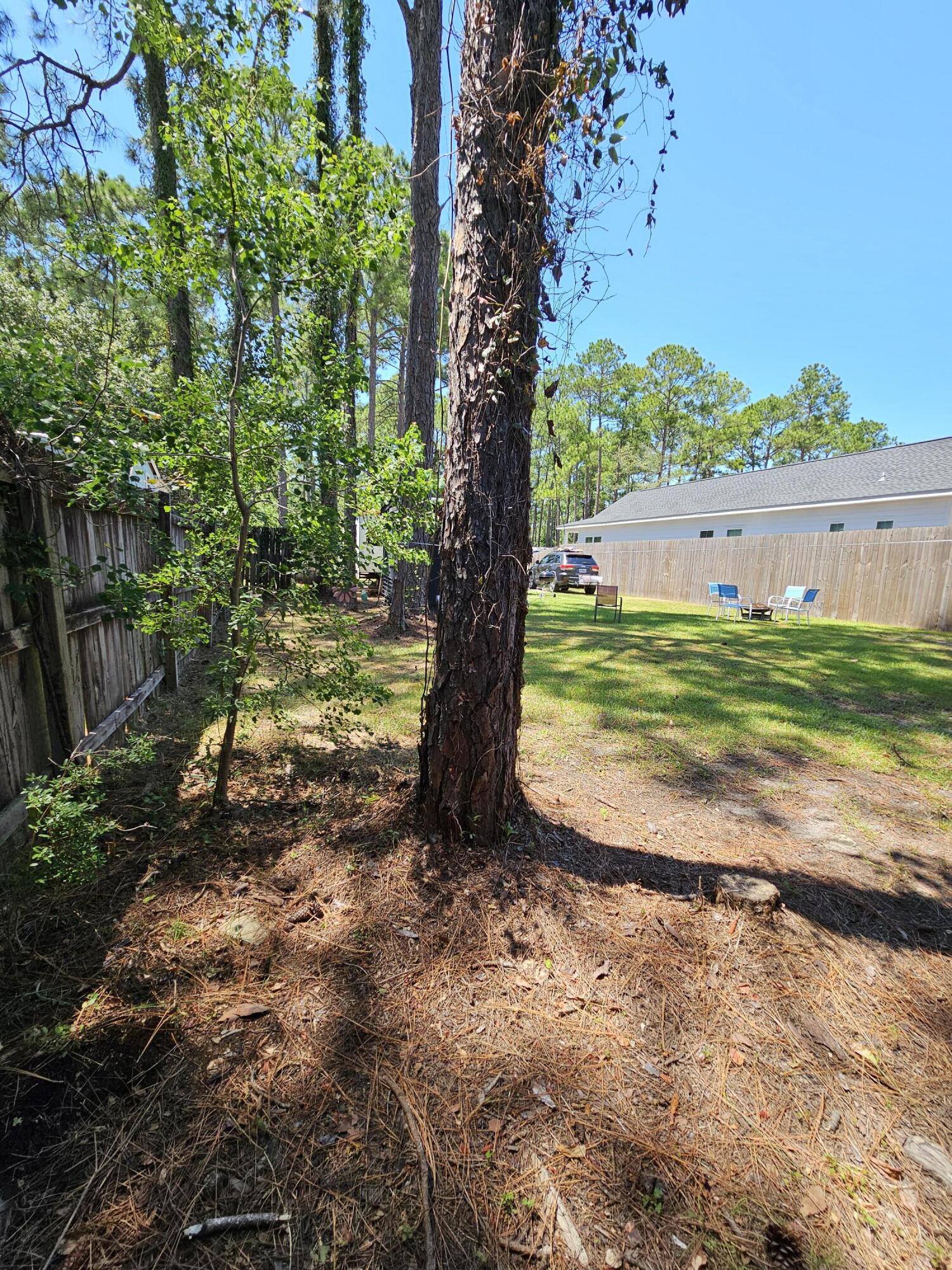 Tbd Tbd 1st St Point Santa Rosa Beach, FL 32459 - Photo 5 of 8 a view of a yard with a tree