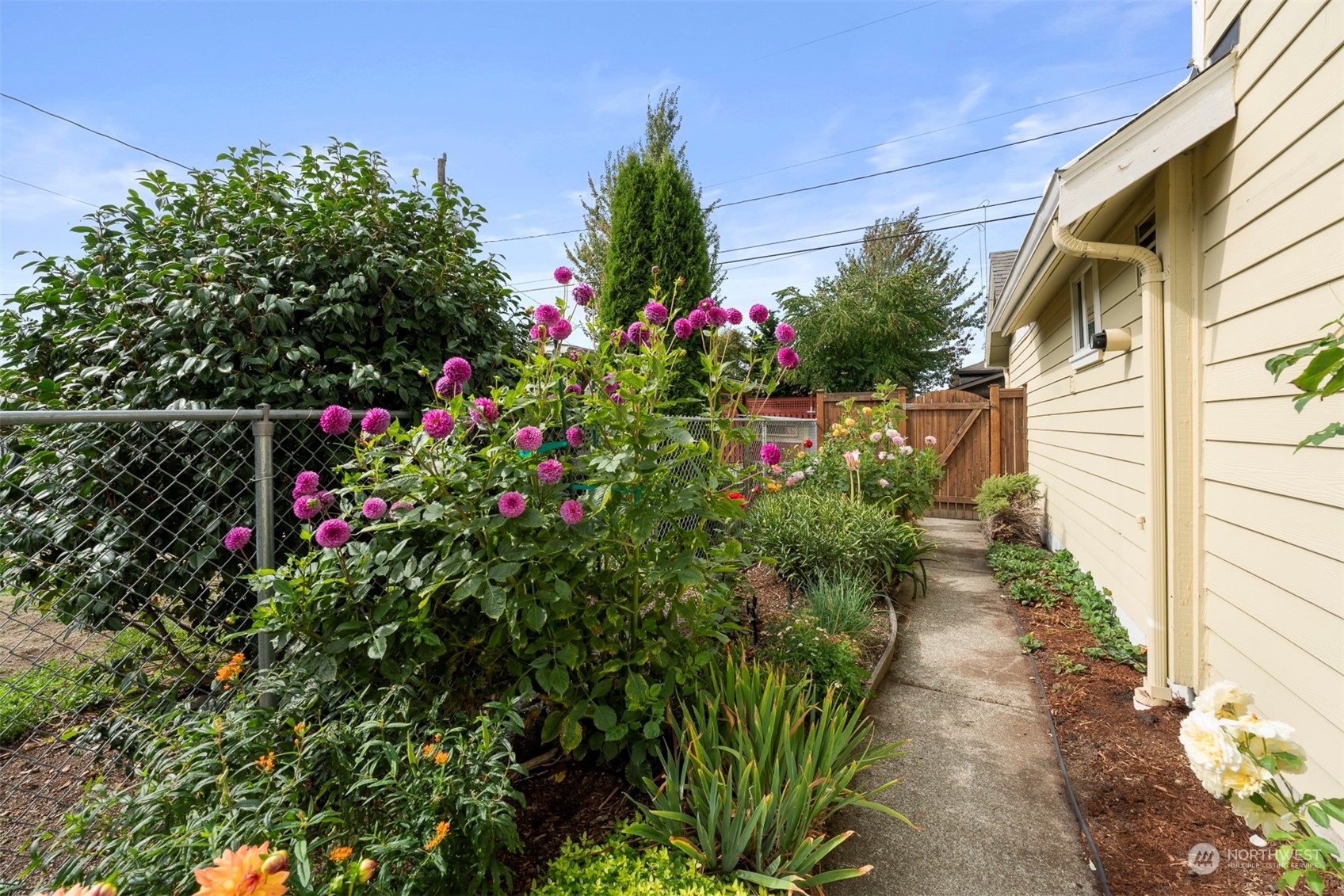 4111 Southwest Dawson Street Seattle, WA 98136 - Photo 16 of 40 Gallery Image 16