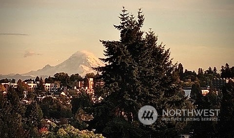 4111 Southwest Dawson Street Seattle, WA 98136 - Photo 38 of 40 Gallery Image 38