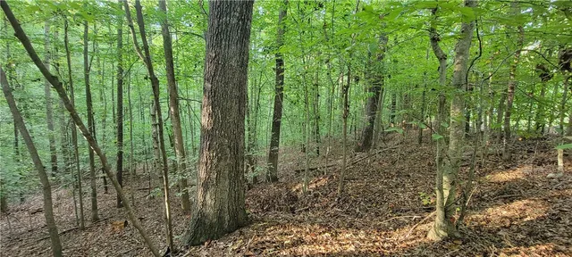 $16,500 | 0 Point Road, Unit 504 & 505, Westminster, SC 29693