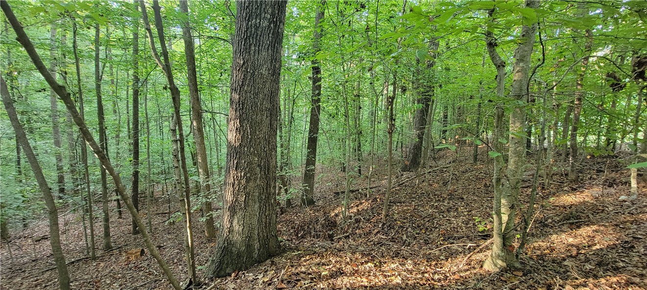 0 Point Road, Unit 504 & 505 Westminster, SC 29693 - Photo 11 of 24