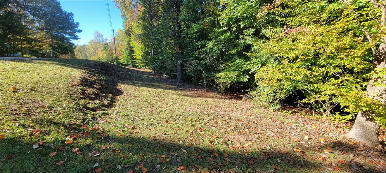 0 Point Road, Unit 504 & 505 Westminster, SC 29693 - Photo 6 of 24 Point road to the left