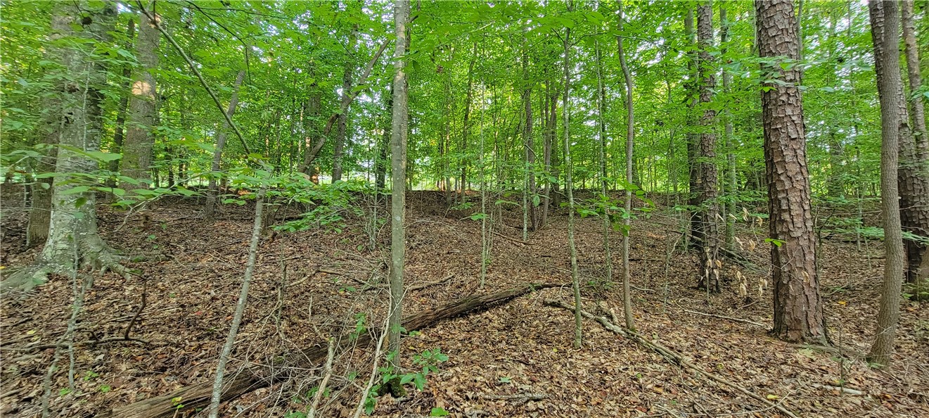0 Point Road, Unit 504 & 505 Westminster, SC 29693 - Photo 8 of 24 back of lot looking at Point Rd