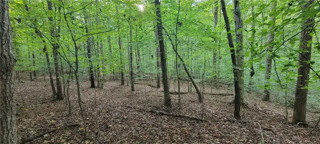 $16,500 | 0 Point Road, Unit 504 & 505, Westminster, SC 29693