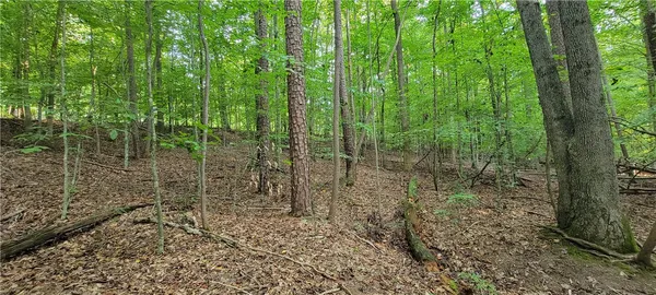 $15,000 | 0 Point Road, Unit 504 & 505, Westminster, SC 29693