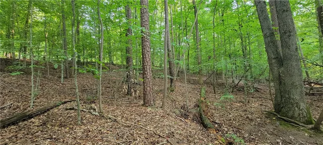 $16,500 | 0 Point Road, Unit 504 & 505, Westminster, SC 29693