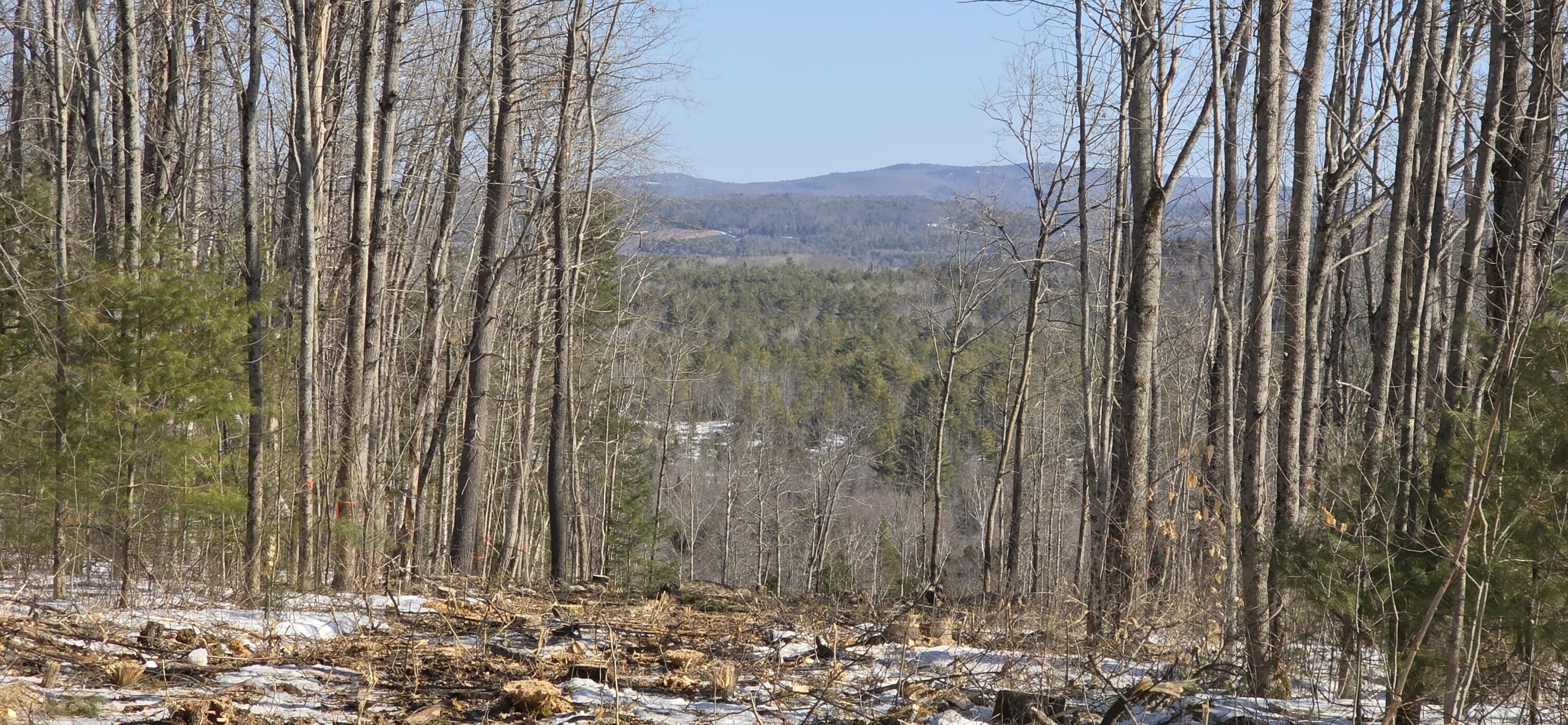 9-a-2 Gore Road Otisfield, ME 04270 - Photo 1 of 9 20250314_102804