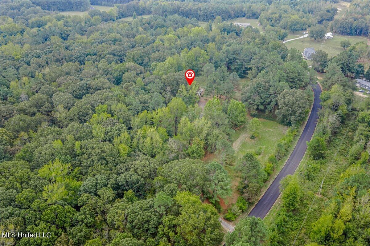 5631 Smith Grove Road Holly Springs, MS 38635 - Photo 5 of 37 05-Neighborhood