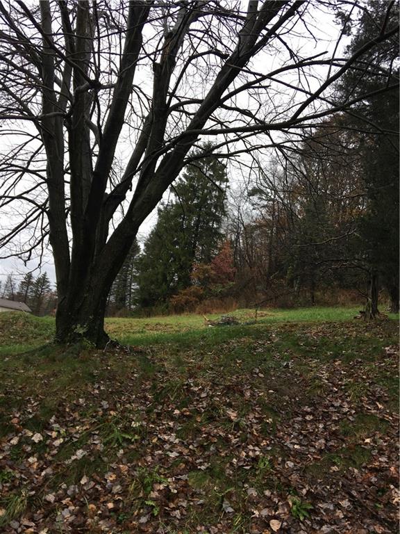 315 Miller Lane Ruffs Dale, PA 15679 - Photo 2 of 16 property view