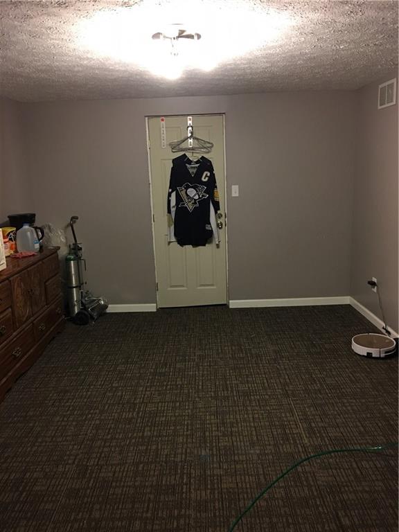 315 Miller Lane Ruffs Dale, PA 15679 - Photo 11 of 16 lower level room 1