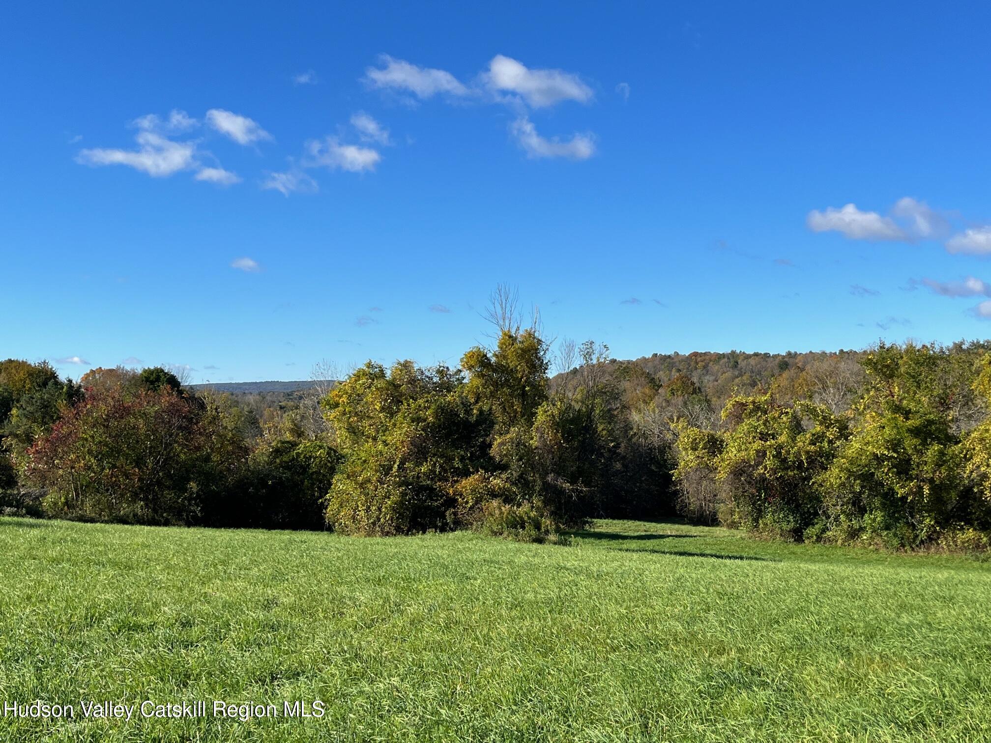 0 Kent Road Wassaic, NY 12592 - Photo 14 of 15 IMG_6606