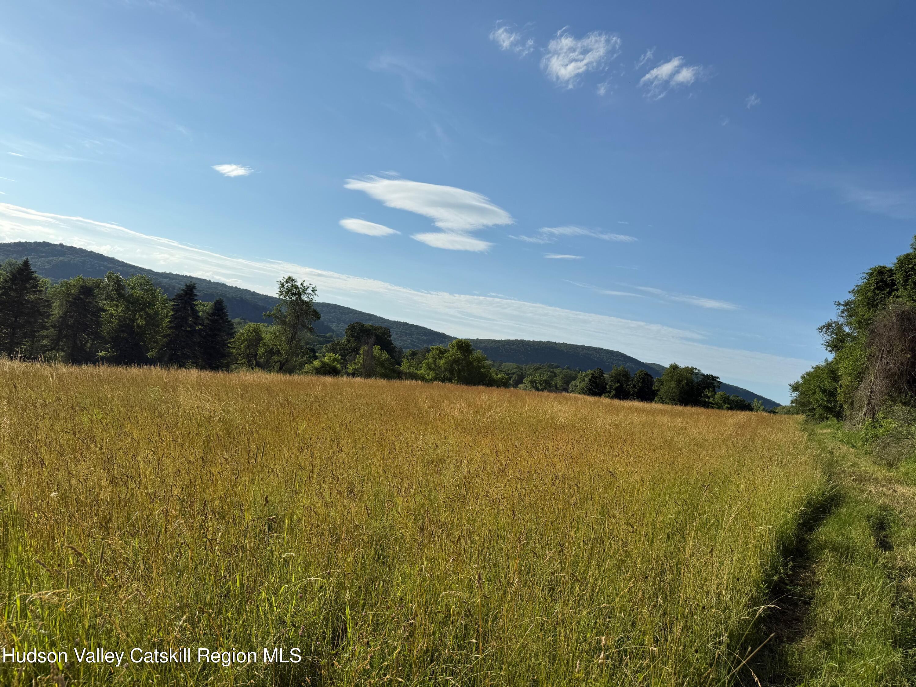 0 Kent Road Wassaic, NY 12592 - Photo 15 of 15 IMG_9903