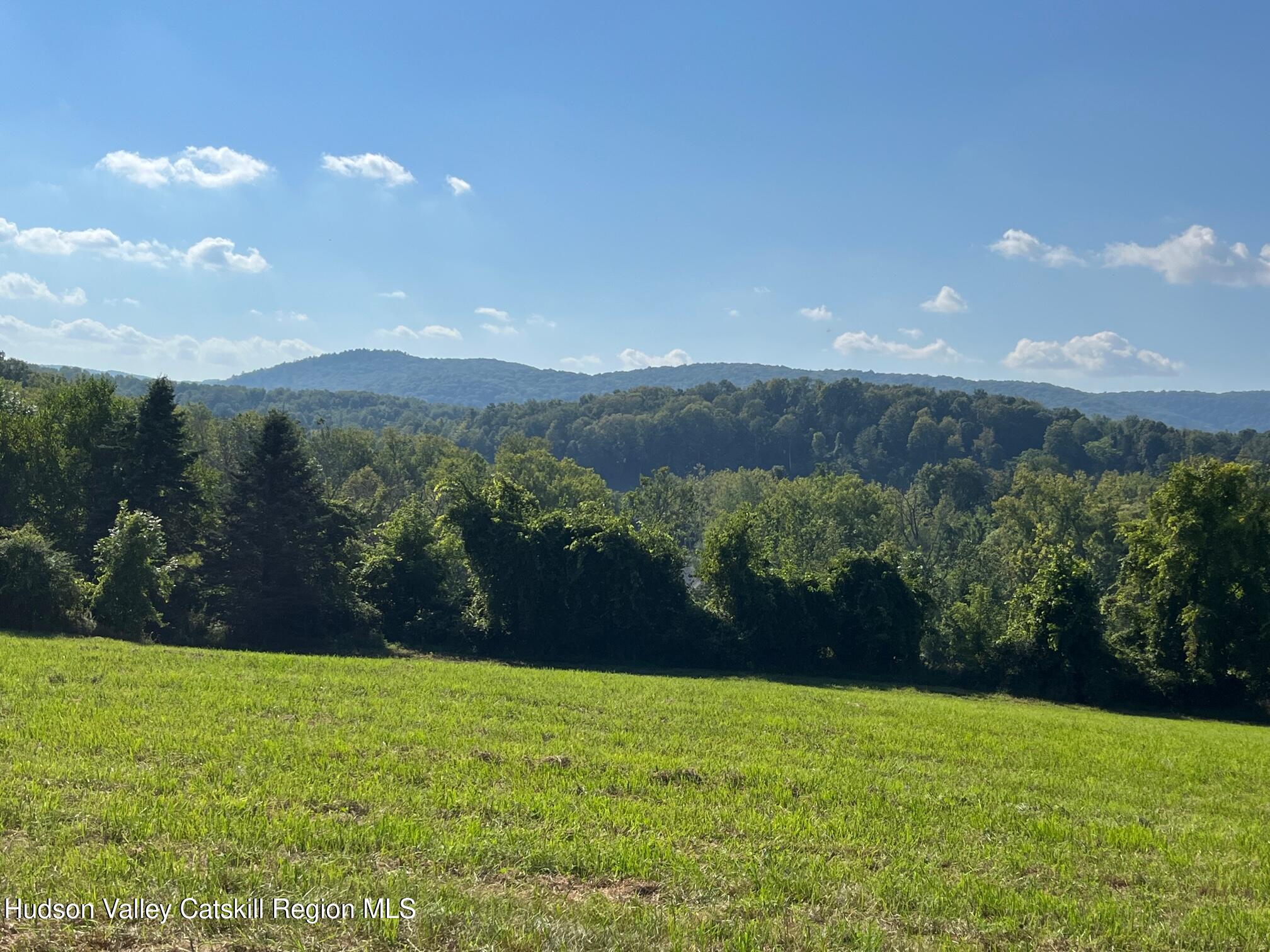 0 Kent Road Wassaic, NY 12592 - Photo 4 of 15 IMG_6261