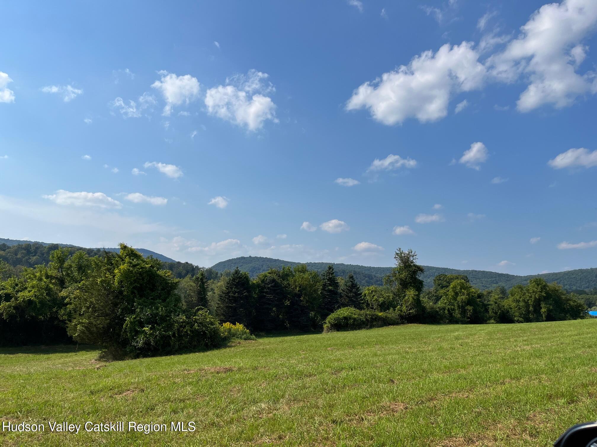 0 Kent Road Wassaic, NY 12592 - Photo 5 of 15 IMG_6275