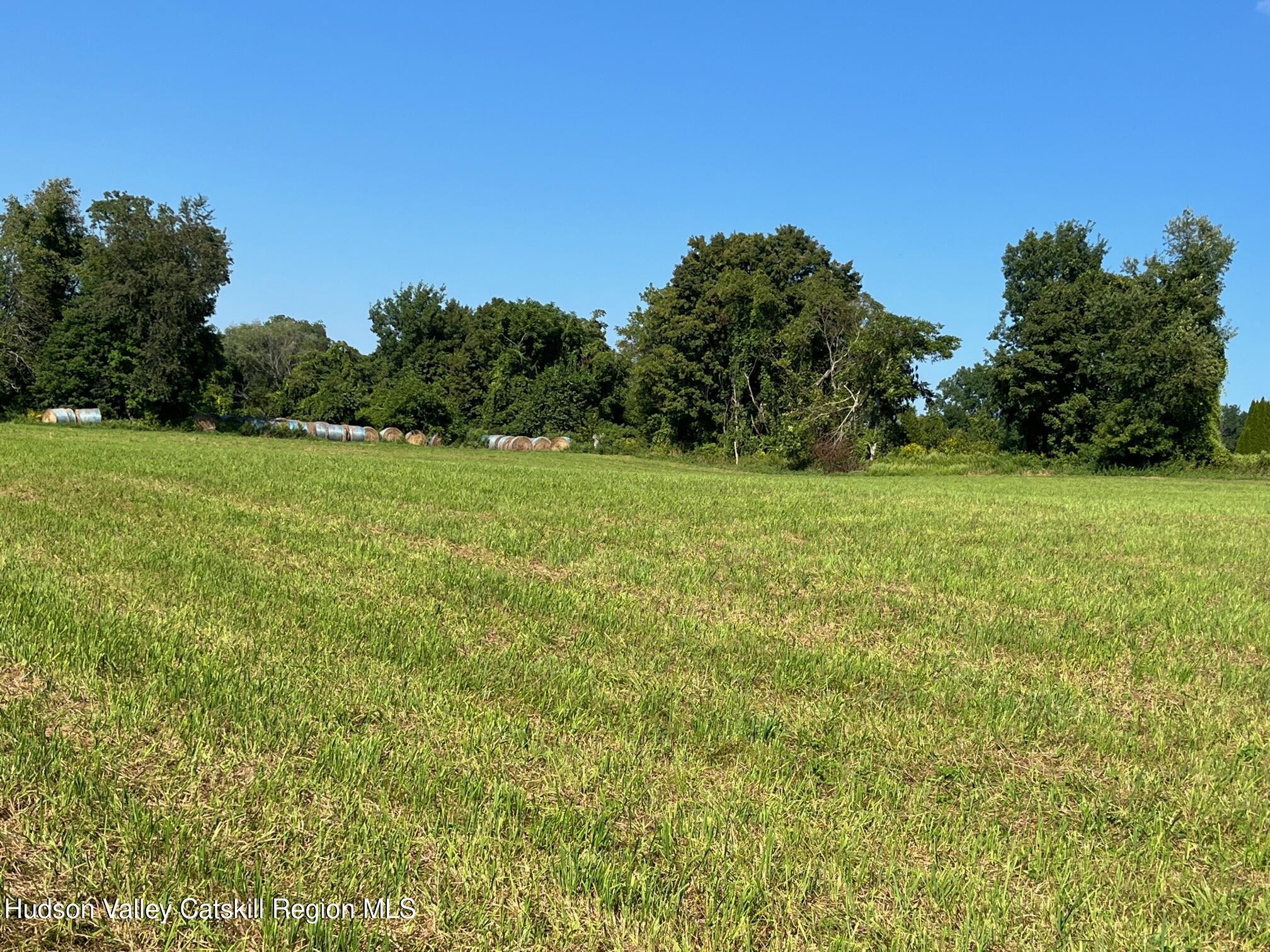 0 Kent Road Wassaic, NY 12592 - Photo 8 of 15 IMG_6264