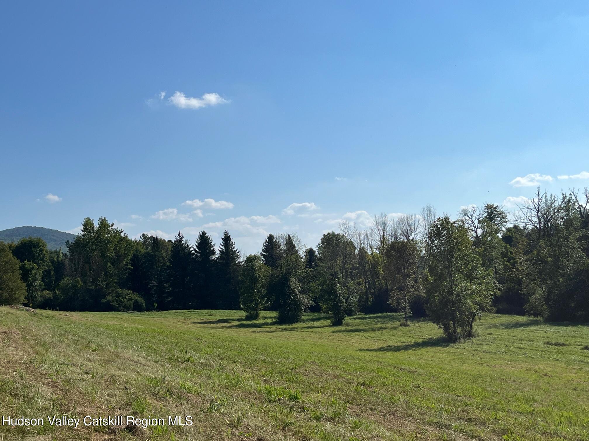 0 Kent Road Wassaic, NY 12592 - Photo 10 of 15 IMG_6266