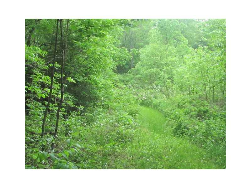 2293 Hudson Road Hudson, ME 04449 - Photo 14 of 18 Land/Lot.