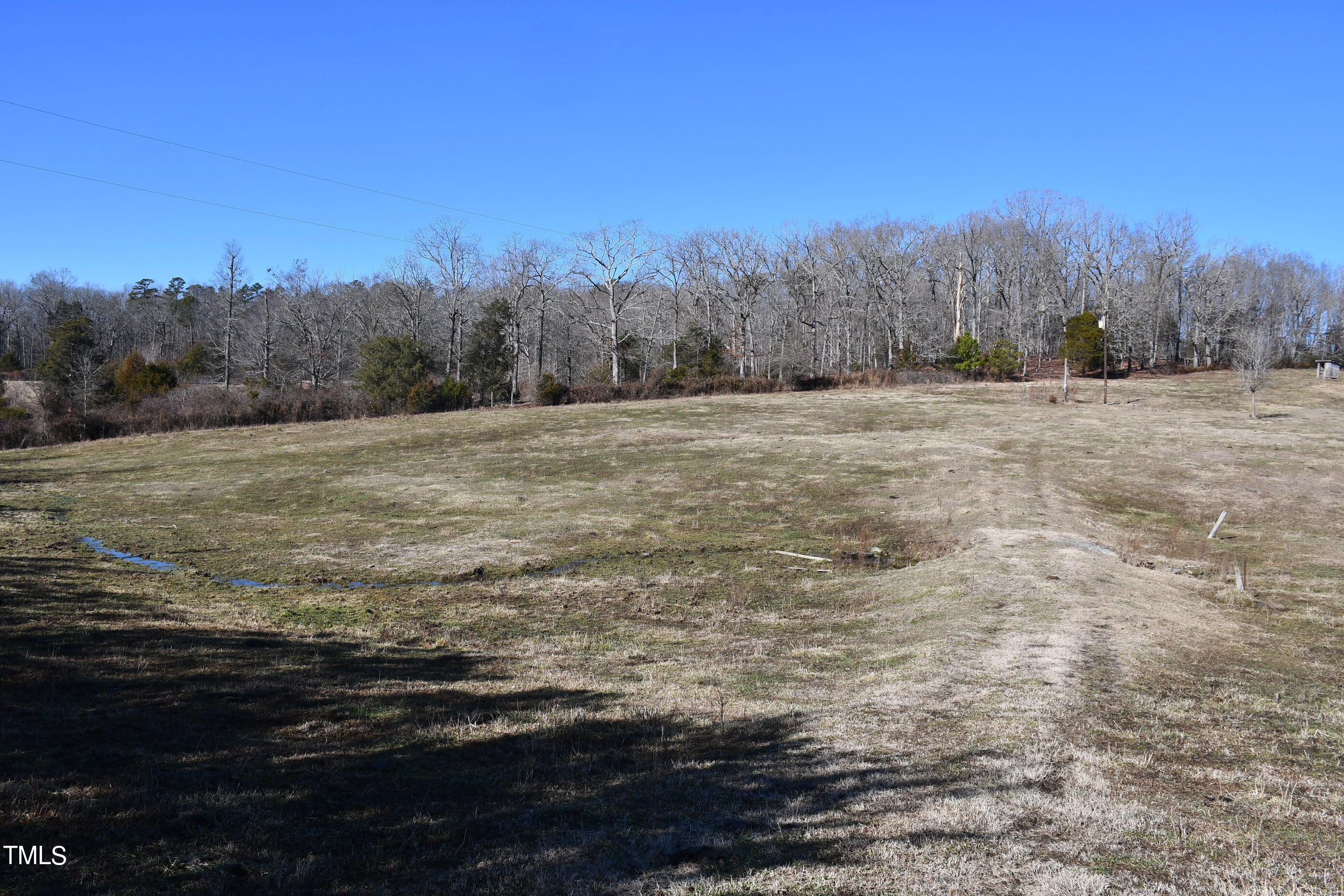 Open Field 2 - Copy