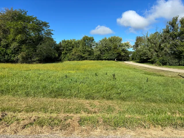 a view of a big yard with large trees