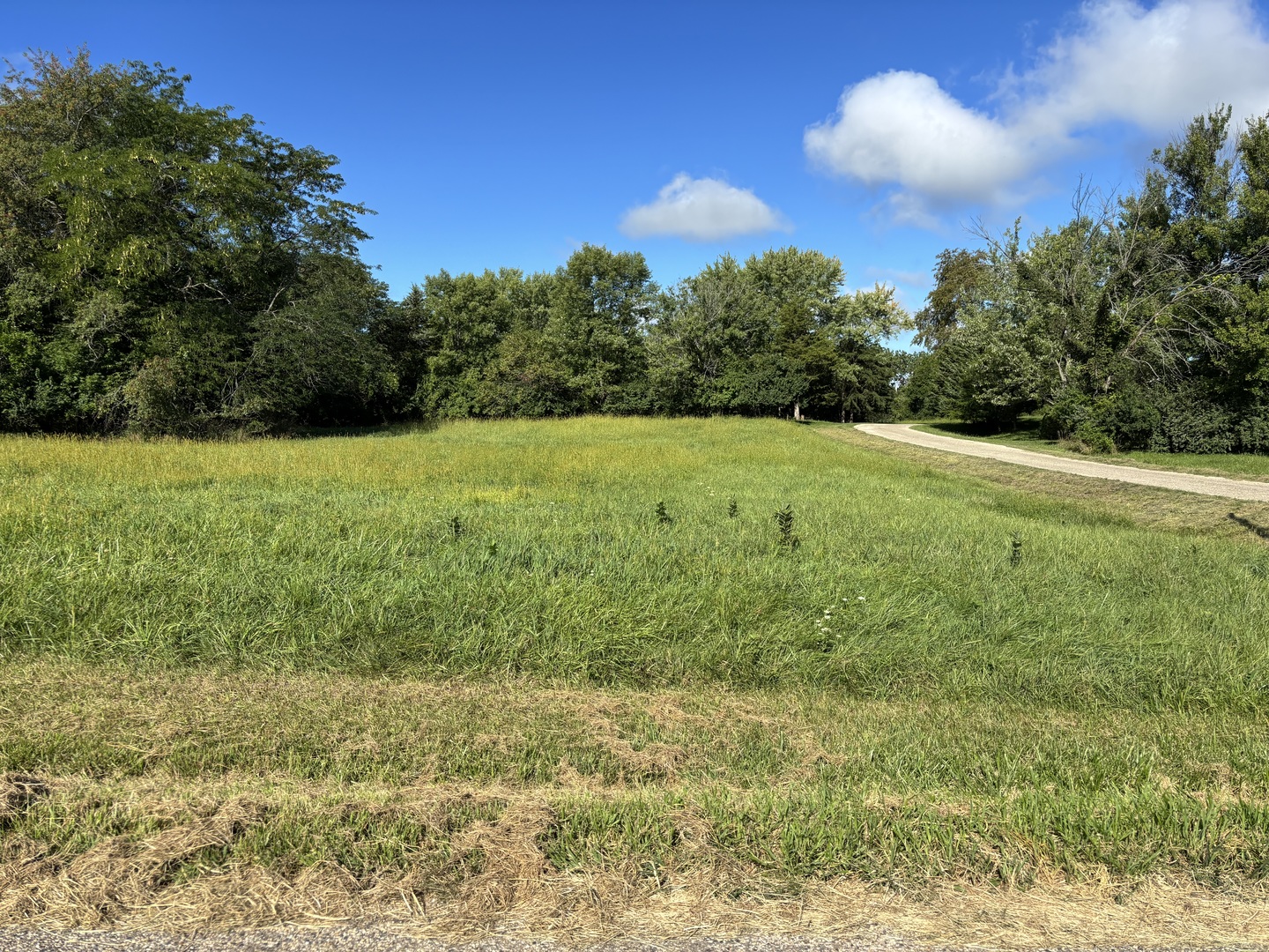 1034 Hidden Valley Drive Varna, IL 61375 - Photo 2 of 4 a view of a big yard with large trees