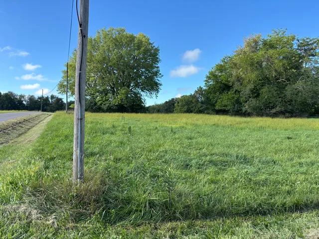 a view of a field with a tree in the background
