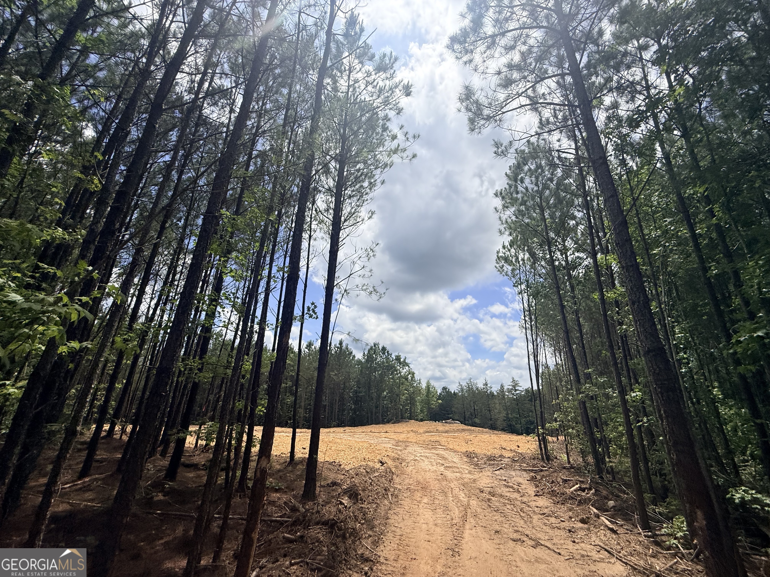 2787 Cedar Creek Road Elberton, GA 30635 - Photo 58 of 88