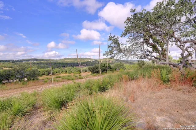 a view of a lake from a yard