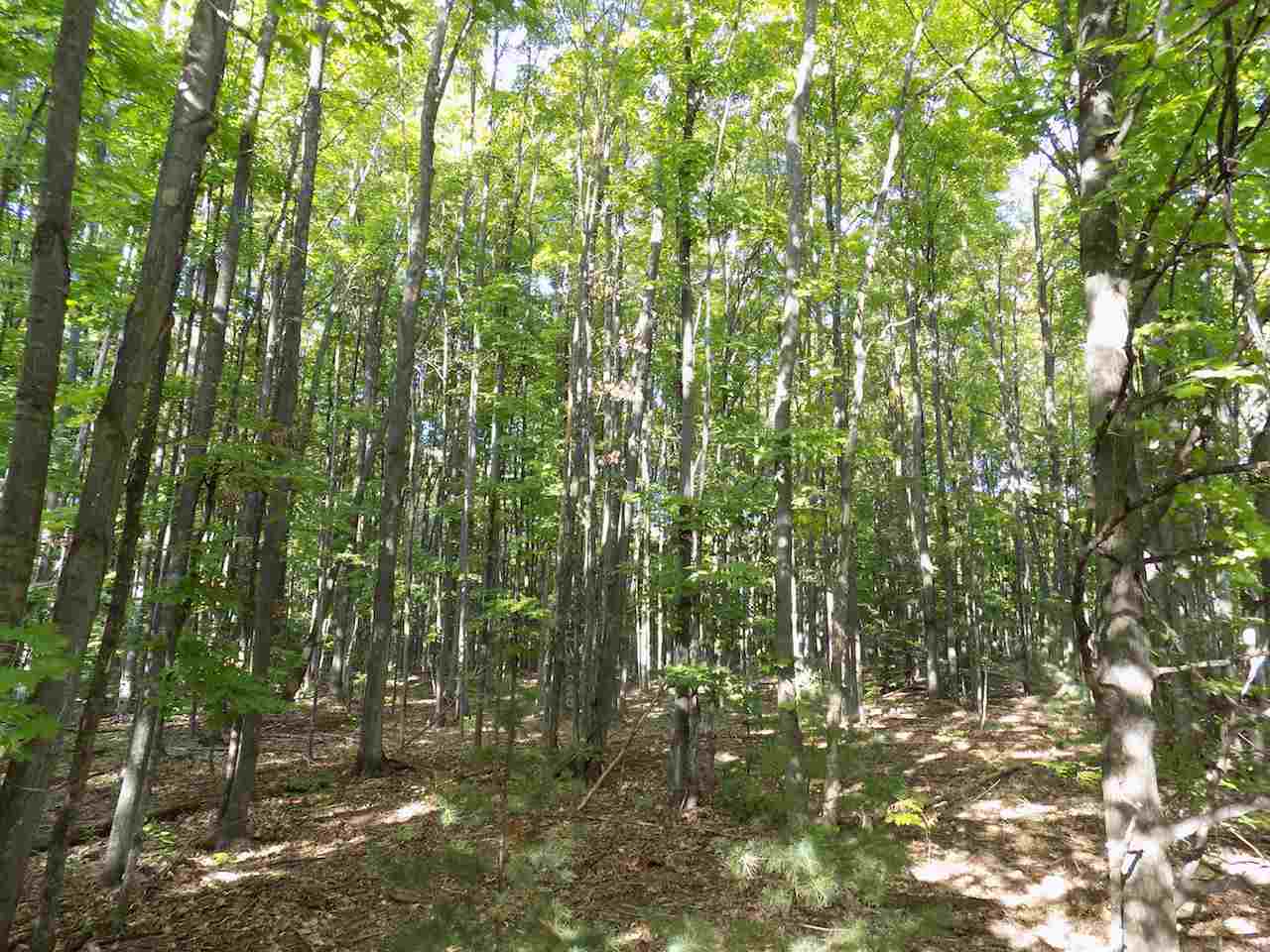 18848 Cedar Run Road Traverse City, MI 49684 - Photo 36 of 38 1852902-35.JPG