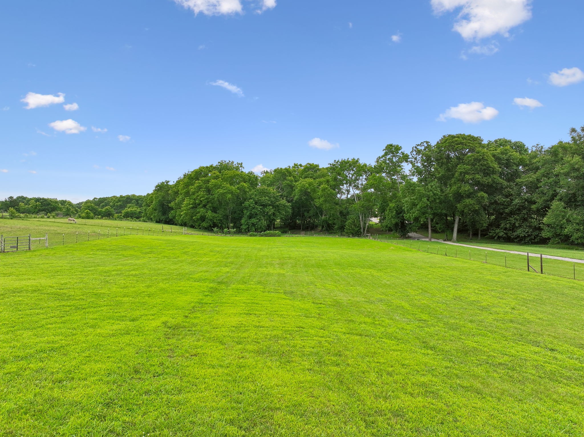 527 Governor Hall Road Castalian Springs, TN 37031 - Photo 60 of 70 Gallery Image 60