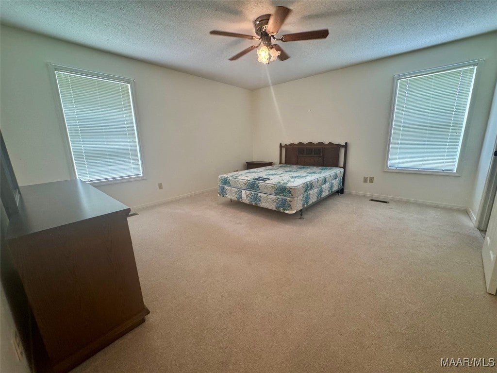 29990 Straughn School Road Andalusia, AL 36421 - Photo 15 of 37 Gallery Image 15