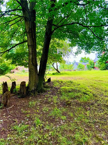 616 Sandy Hill Road Irwin, PA 15642 - Photo 30 of 38