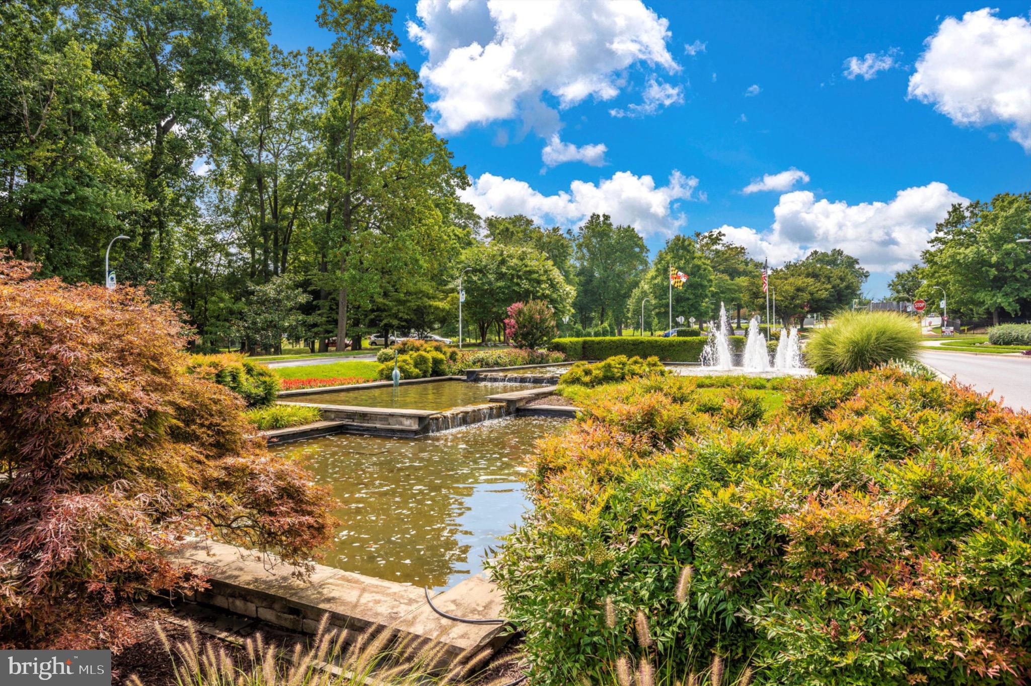 3215 South Leisure World Boulevard, Unit 1011 Silver Spring, MD 20906 - Photo 21 of 27 a view of a yard with swimming pool