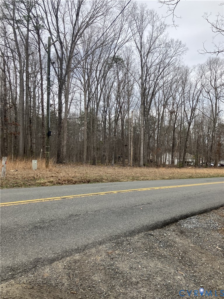 0 Fredericks Hall Road Bumpass, VA 23024 - Photo 3 of 5 a view of dirt yard with a large trees