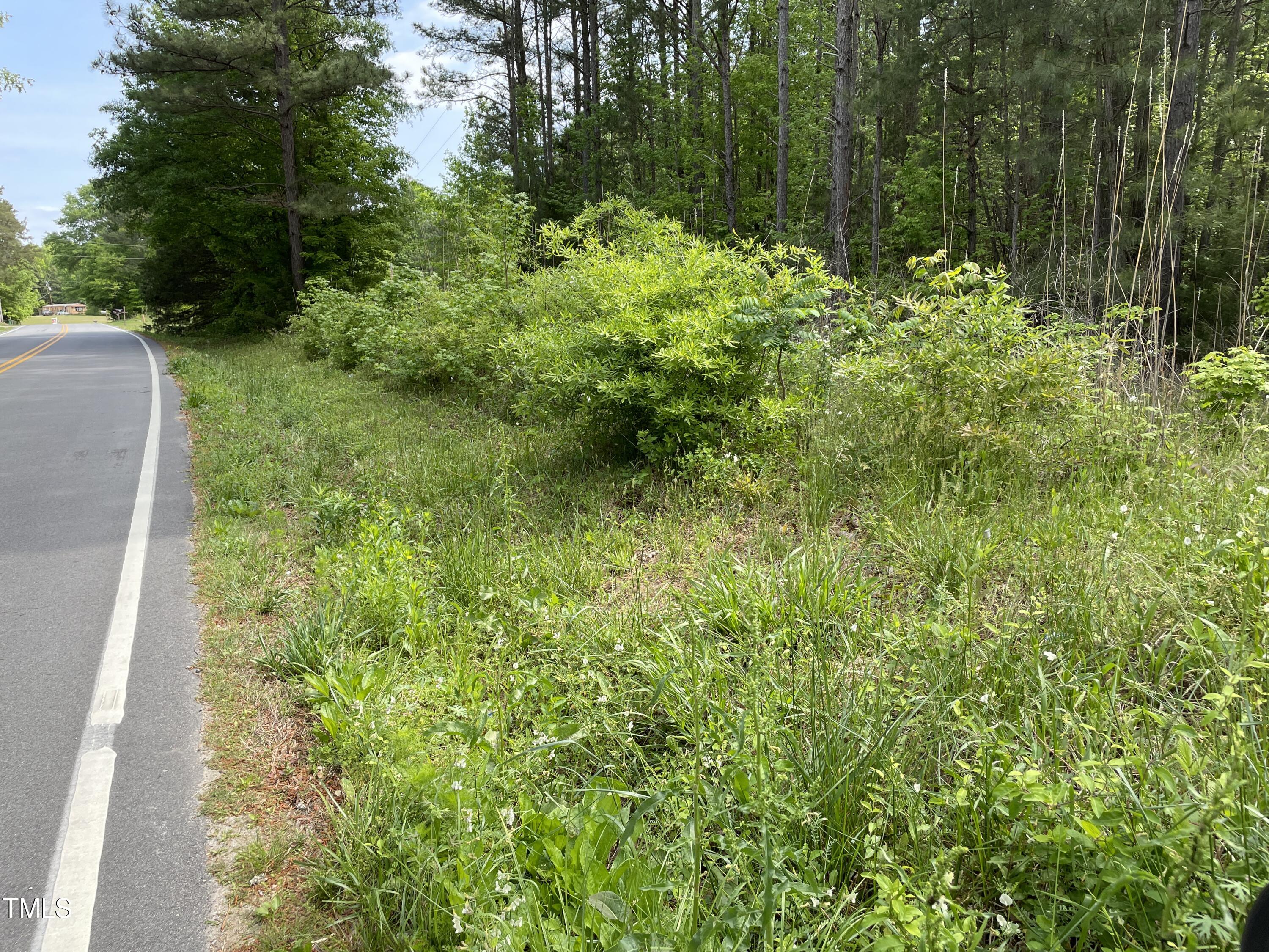 0 North Chavis Road Kittrell, NC 27544 - Photo 1 of 7 IMG_0356