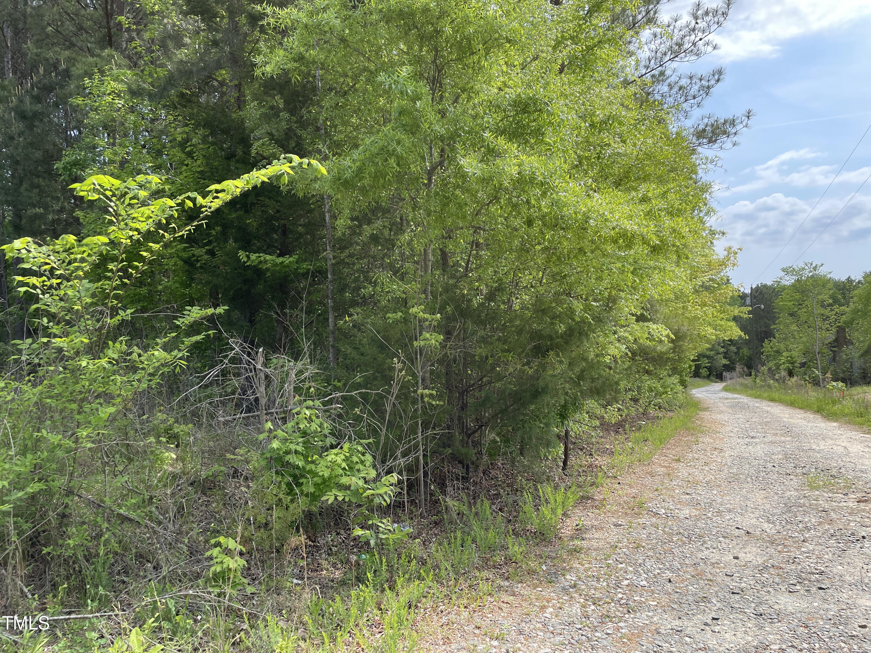 0 North Chavis Road Kittrell, NC 27544 - Photo 6 of 7 IMG_0361