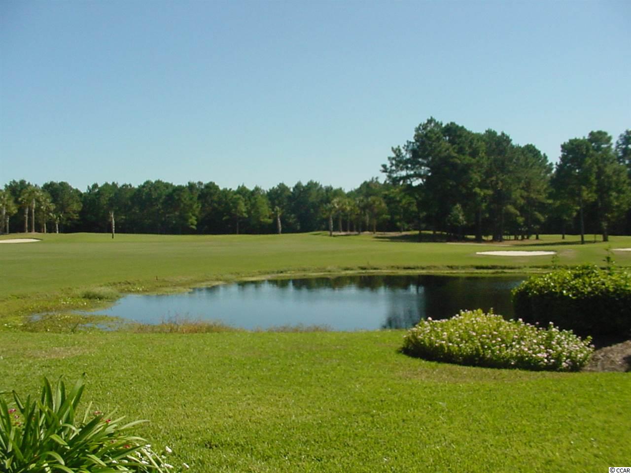 142 Pickering Drive Murrells Inlet, SC 29576 - Photo 30 of 30 Gallery Image 30